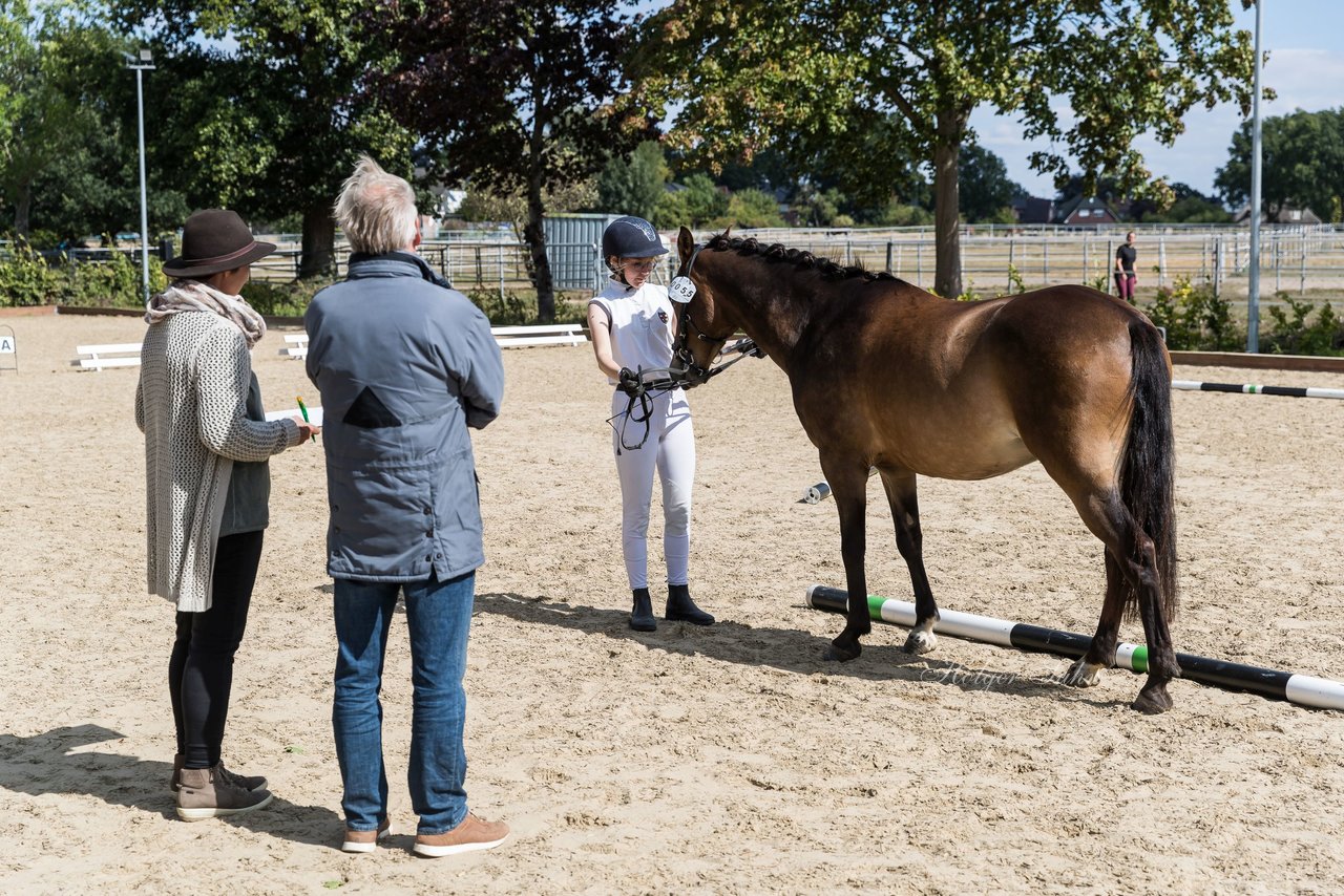 Bild 81 - Pony Akademie Turnier